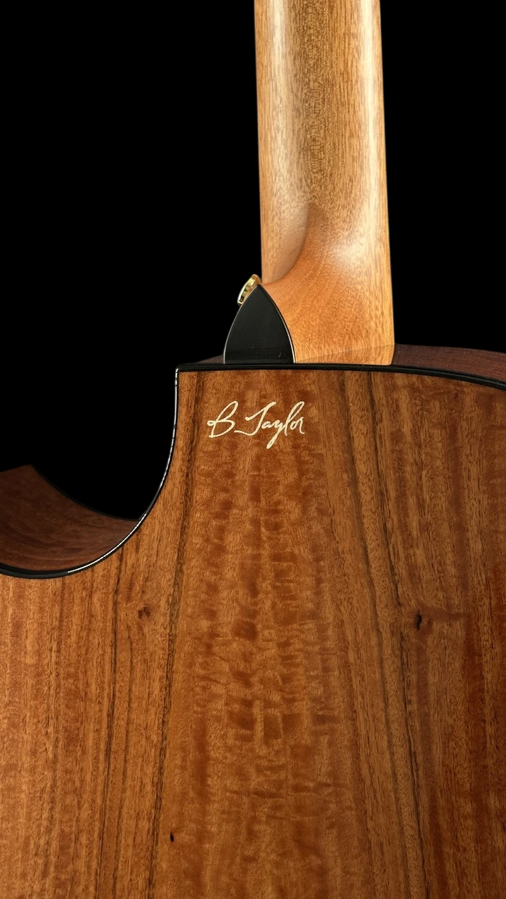 Taylor Custom "B. Taylor" Grand Auditorium Urban Ironbark & Sitka Spruce