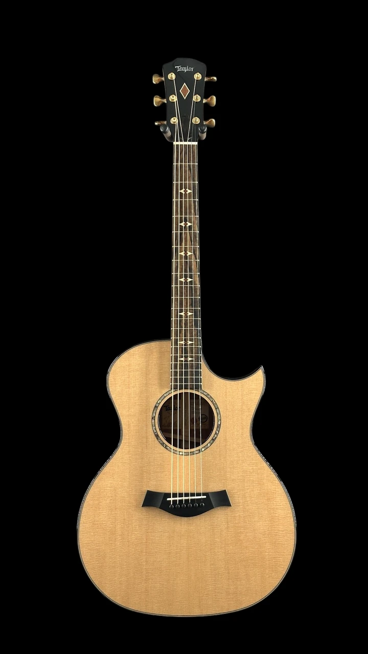 Taylor Custom "B. Taylor" Grand Auditorium Urban Ironbark & Sitka Spruce