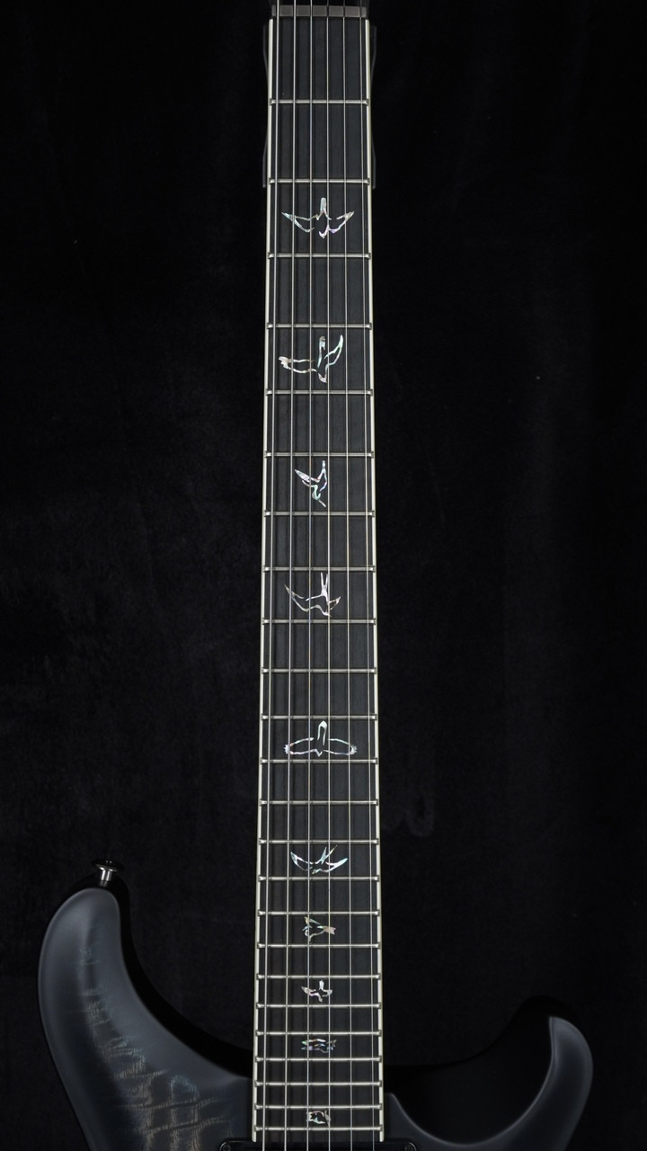 The Guitar Sanctuary | Paul Reed Smith | USA Mark Holcomb