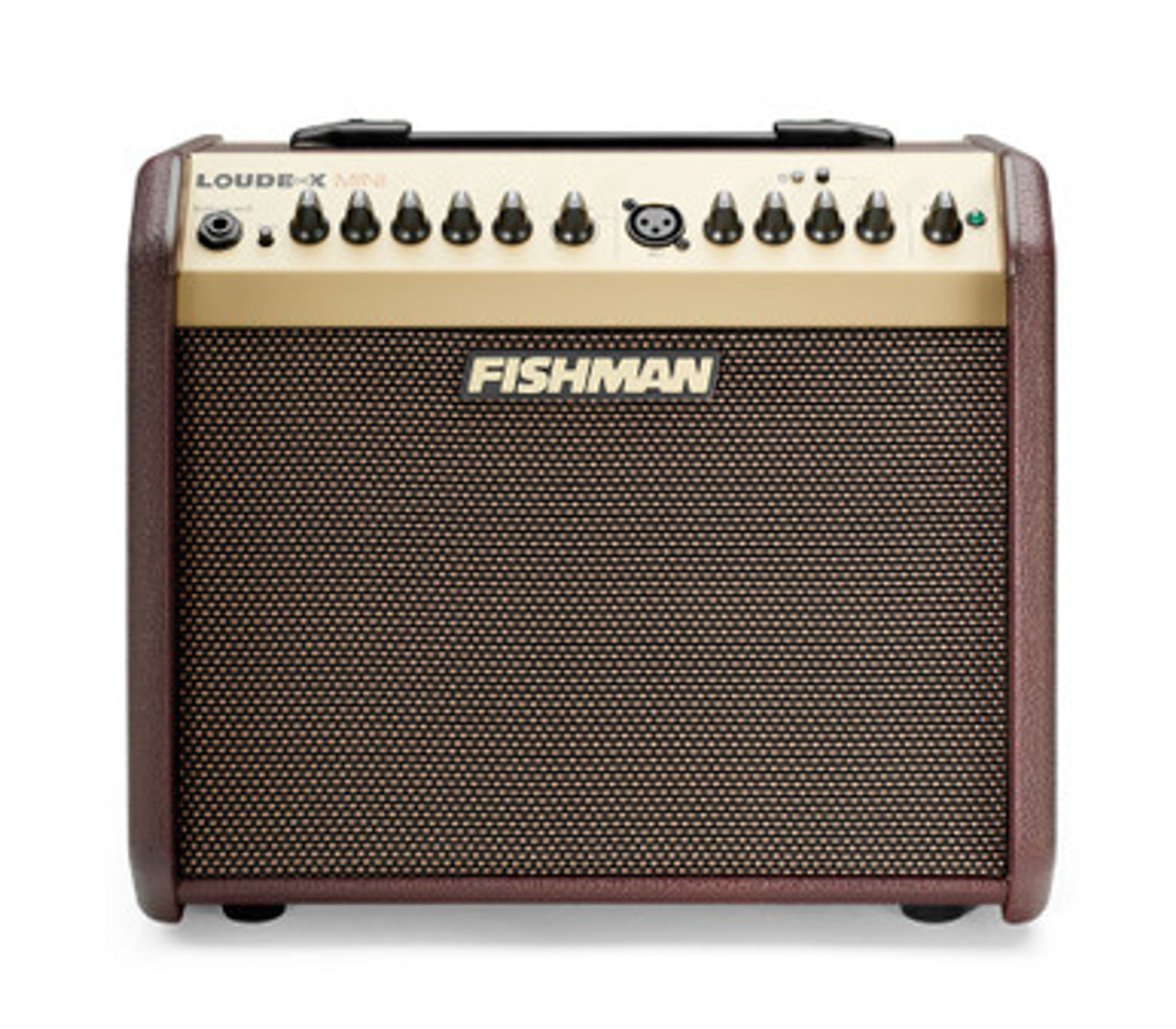Fishman Loudbox Mini with Bluetooth Acoustic Amplifier