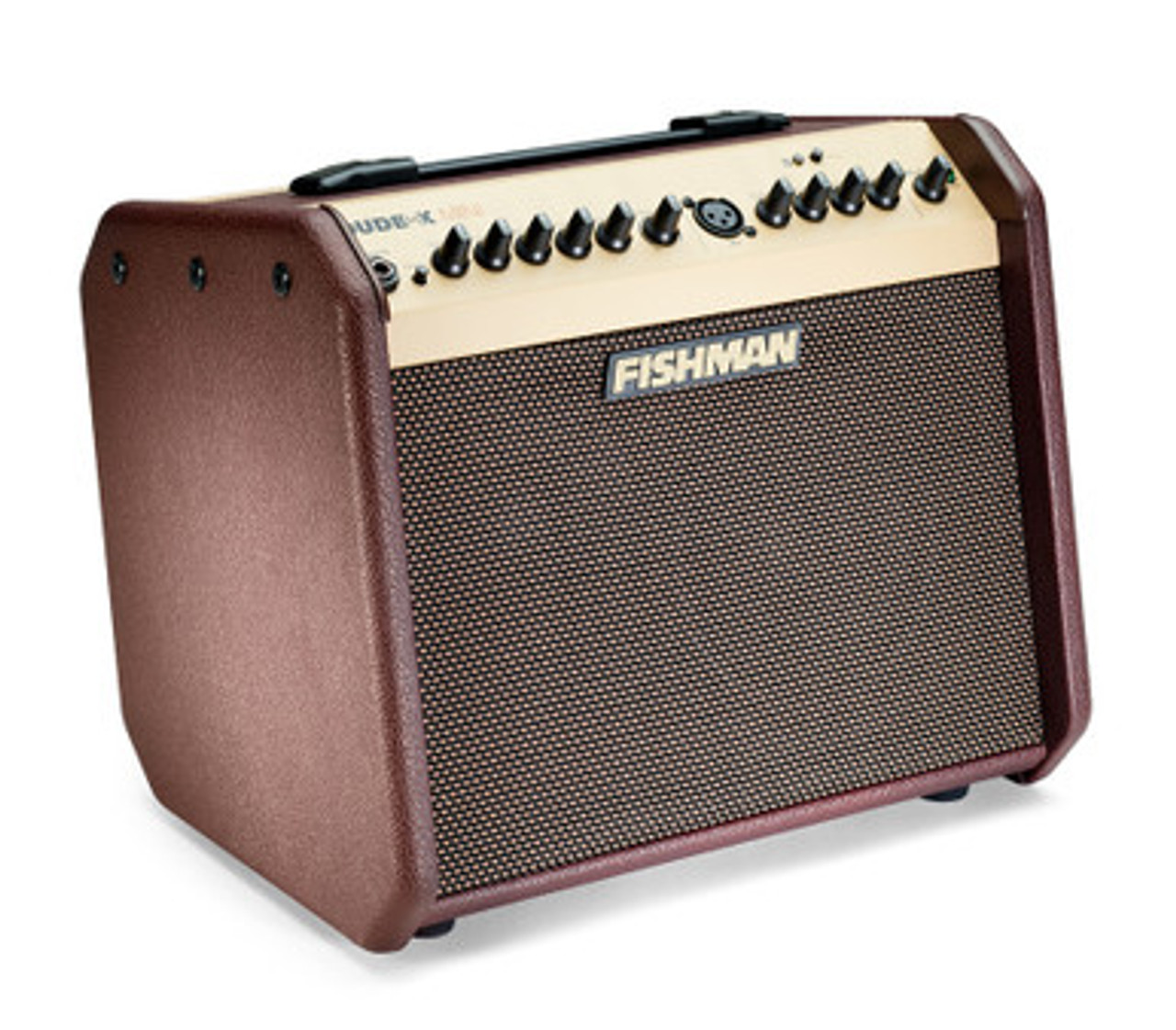 Fishman Loudbox Mini with Bluetooth Acoustic Amplifier