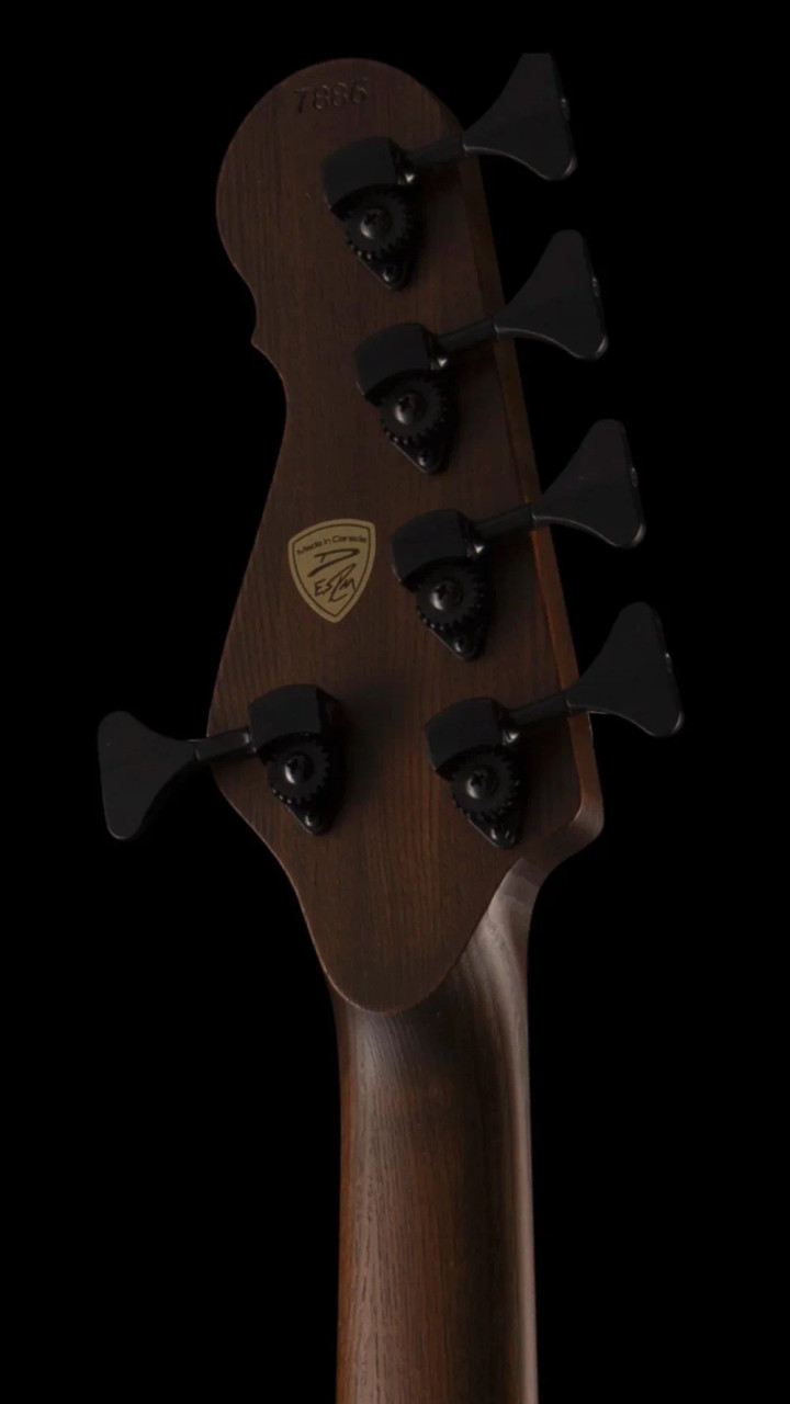 The Guitar Sanctuary | Dingwall | Super P | Redwood/Alder
