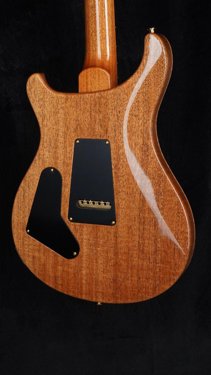 2025 PRS Custom 24-08 with 10-Top in Aurora Borealis