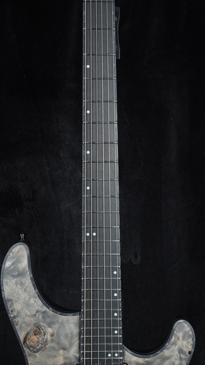 The Guitar Sanctuary | Mayones | Regius 6 4Ever | Graphite Burl