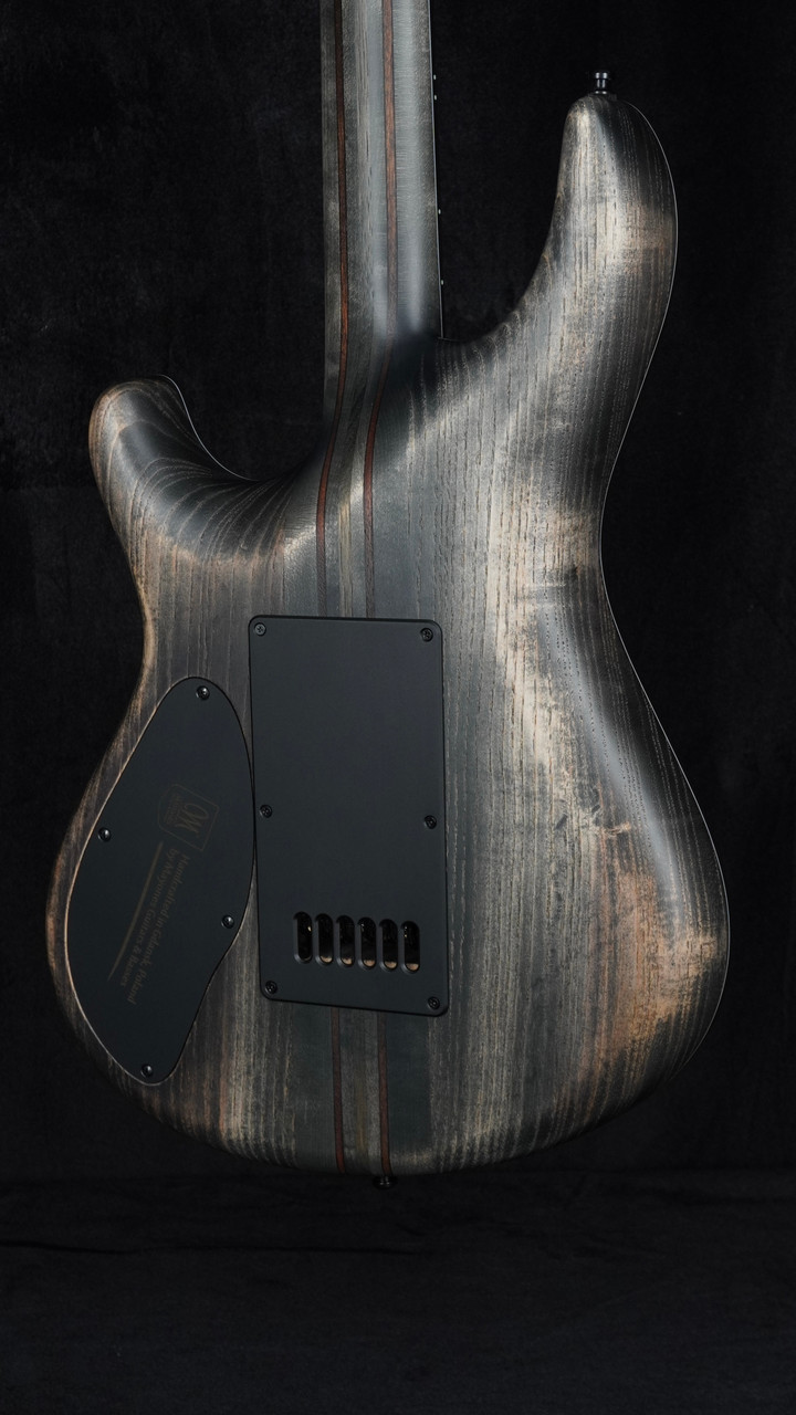 The Guitar Sanctuary | Mayones | Regius 6 4Ever | Graphite Burl