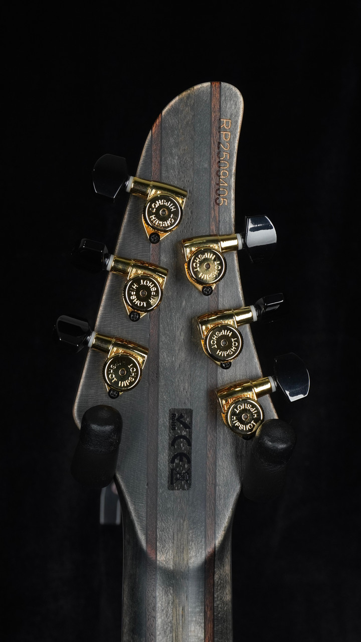 Mayones Regius 4Ever 6 EverTune Trans Graphite | Sanctuary