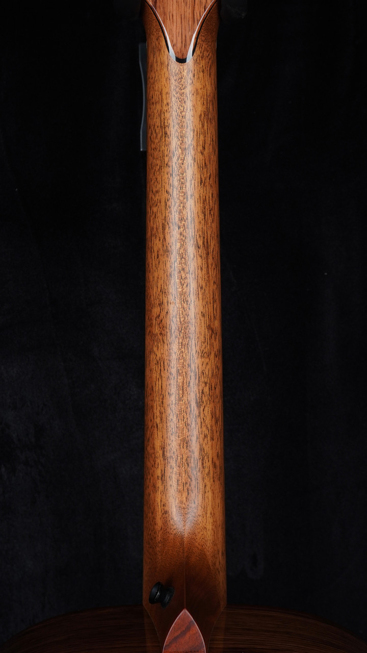 Taylor Custom Catch C14e 9-String Grand Auditorium