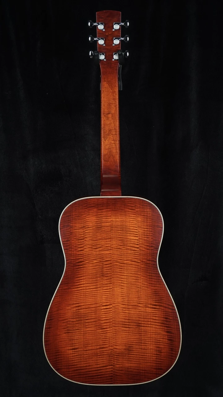 Beard Legacy E-Model Horse Chestnut Squareneck Resonator - Satin Amber Sunburst - Back Whole