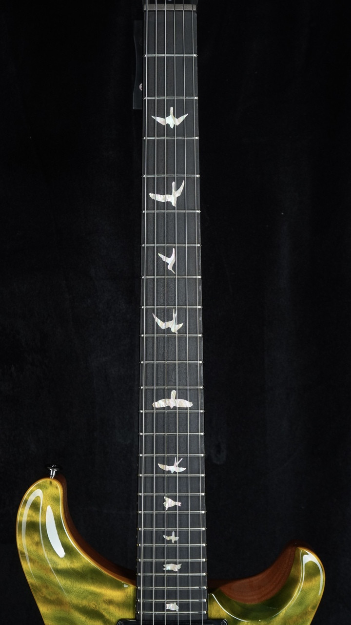 PRS Custom 24 Signature Dealer Exclusive - Jade Fade | Artist