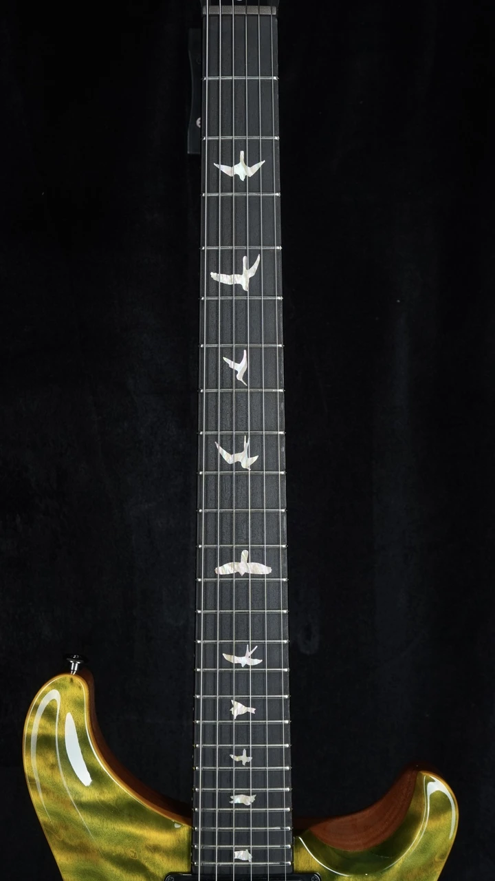PRS Signature Dealer Exclusive Custom 24 - Artist Grade Quilt Top - PS Jade Fade Fretboard