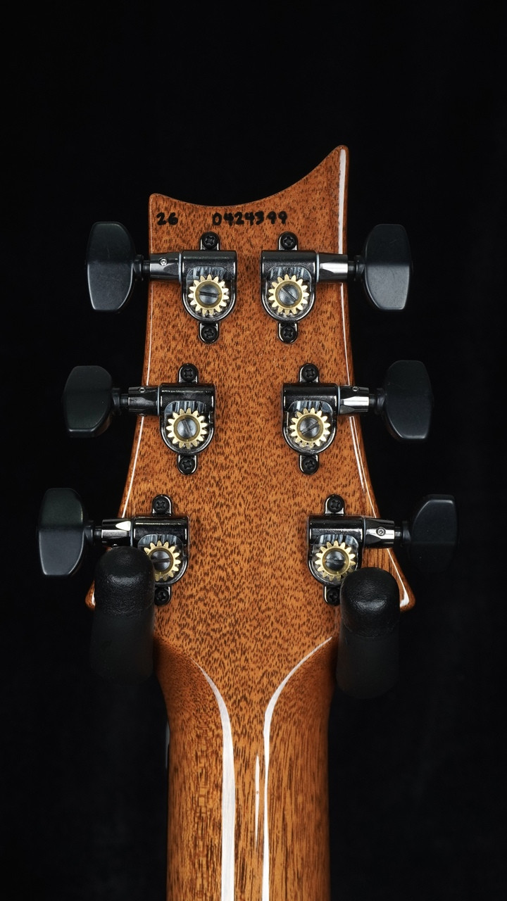 PRS Custom 24 Signature Dealer Exclusive - Jade Fade | Artist