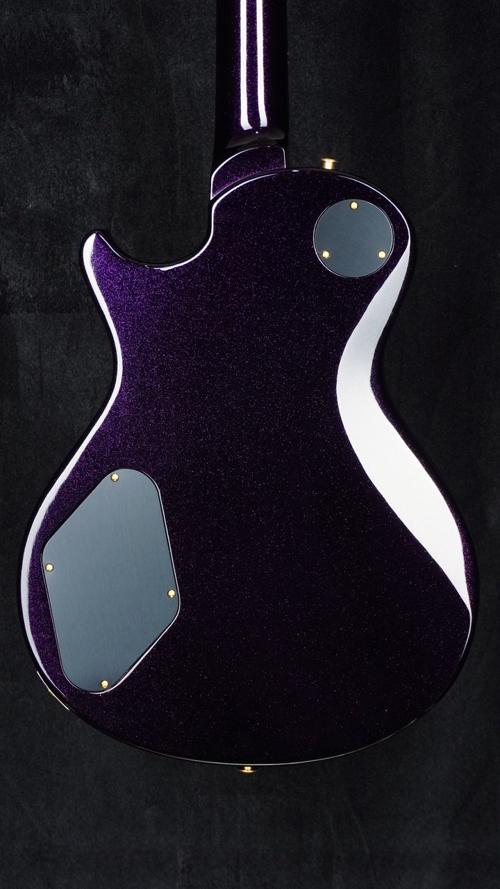 PRS Mark Tremonti Sprayer's Choice 10-Top | Guitar Sanctuary