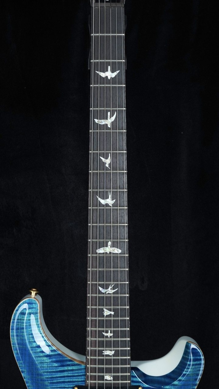 PRS Custom 24 "Sprayer's Choice" 10-Top - River Blue Pearl Fingerboard