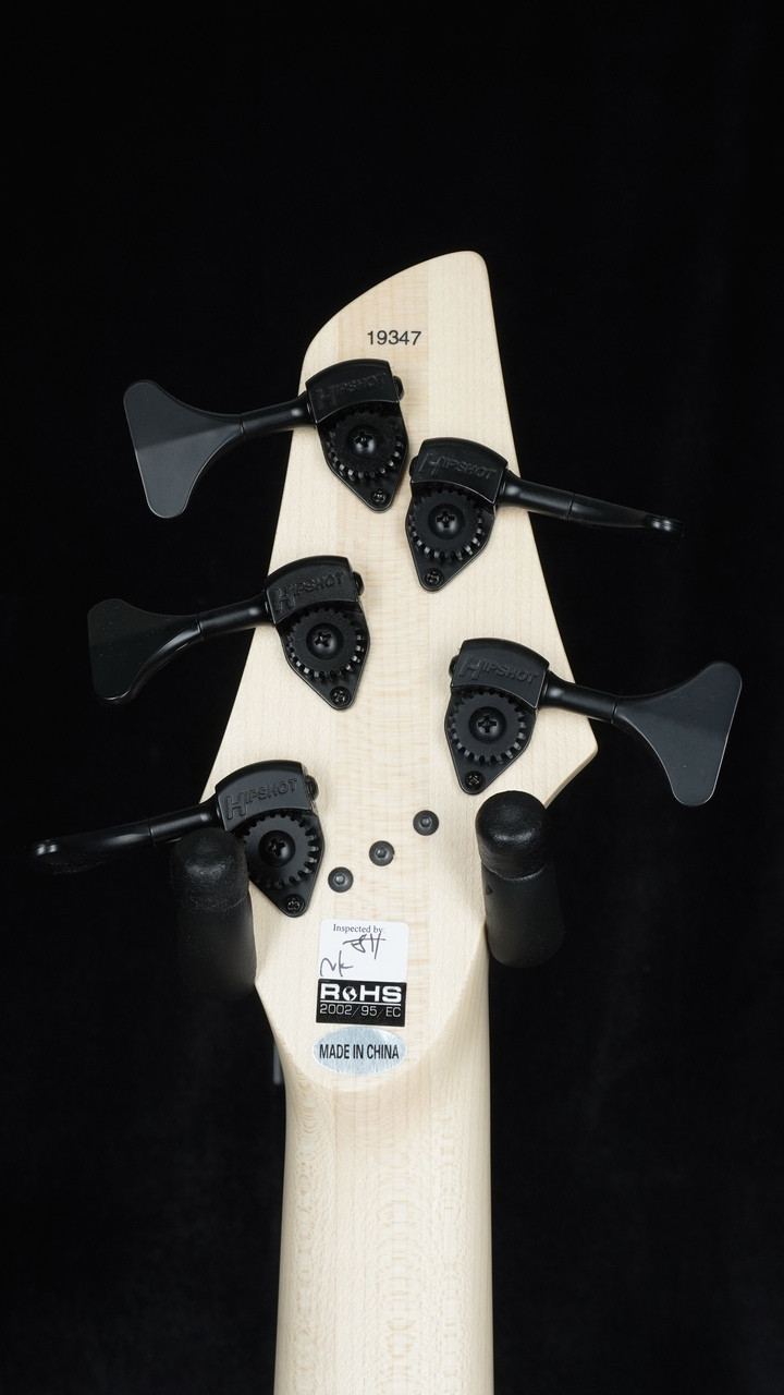 Dingwall Combustion Nashville 5 Whalepool Blue | Guitar Sanctuary