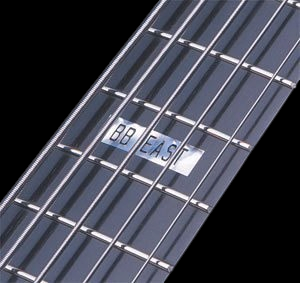 Yamaha BBNE2 Nathan East Signature 5-String Bass – White - Fretboard
