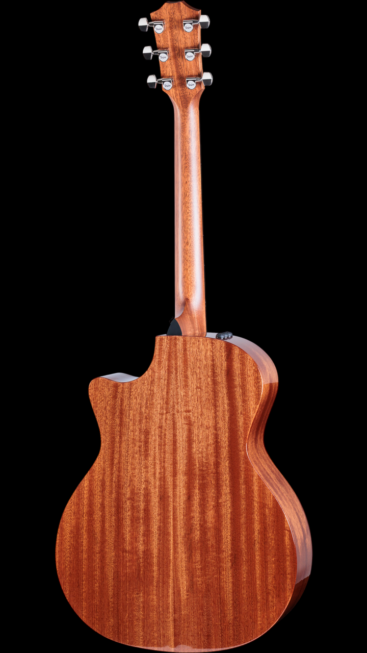 Taylor 324ce Studio Special Edition - Shaded Edgeburst - Back Whole