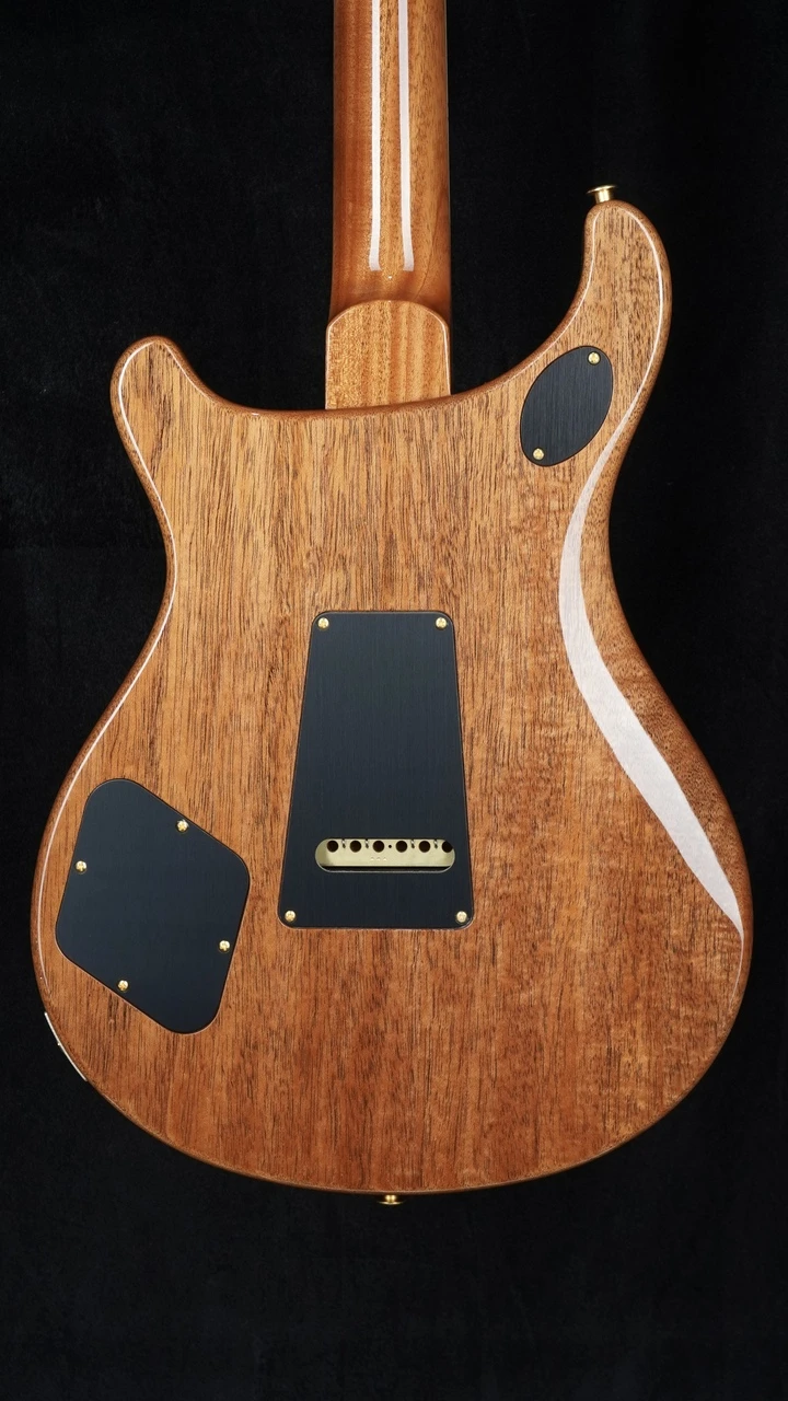 PRS Signature Dealer Exclusive McCarty 594 Tremolo in Tiger Eye - Back Close