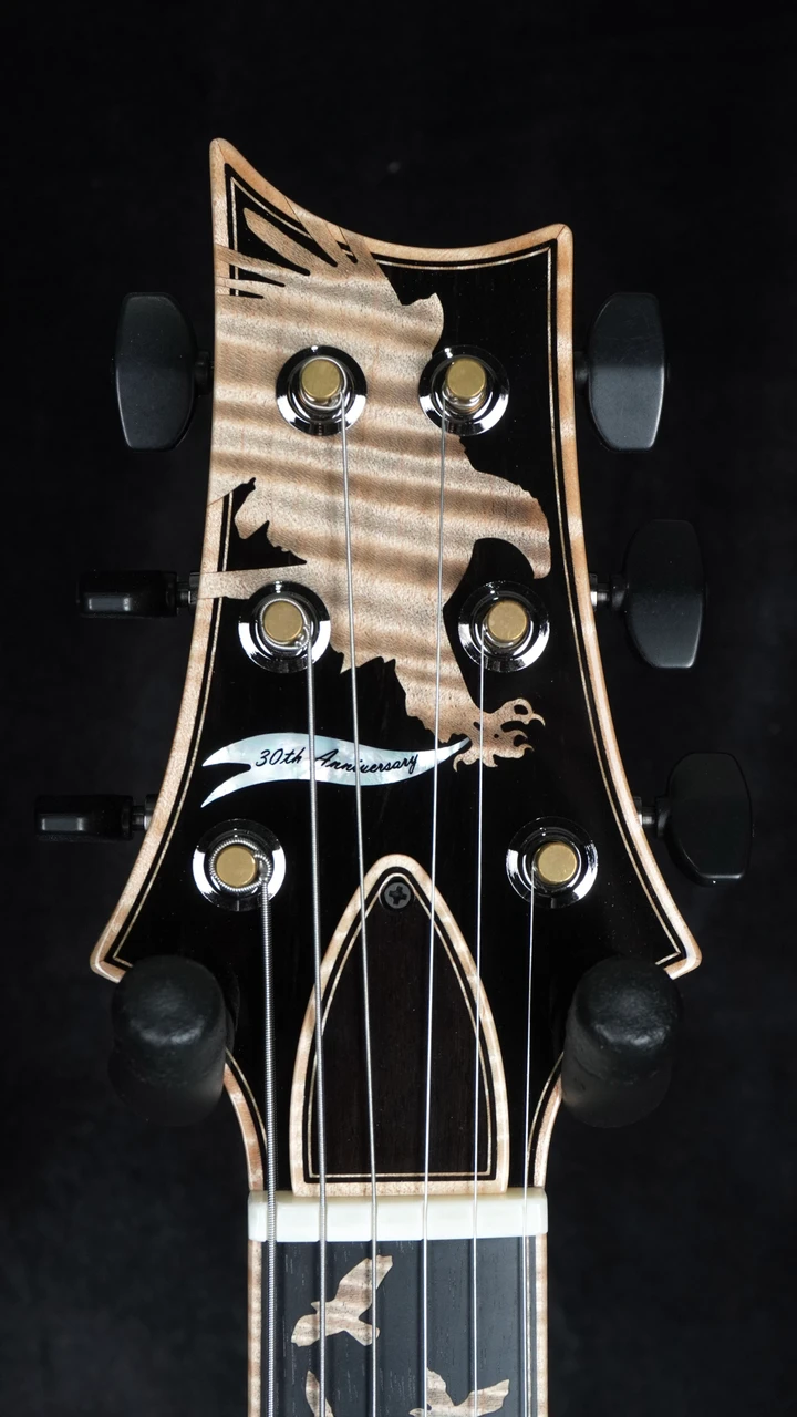 PRS Private Stock 30th Anniversary "Birds of a Feather" Hollowbody I Headstock Front
