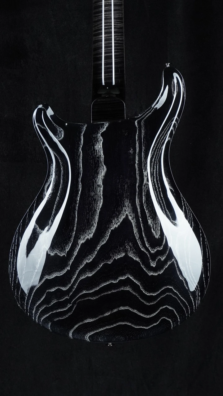 PRS Private Stock 30th Anniversary "Birds of a Feather" Hollowbody I Back Close