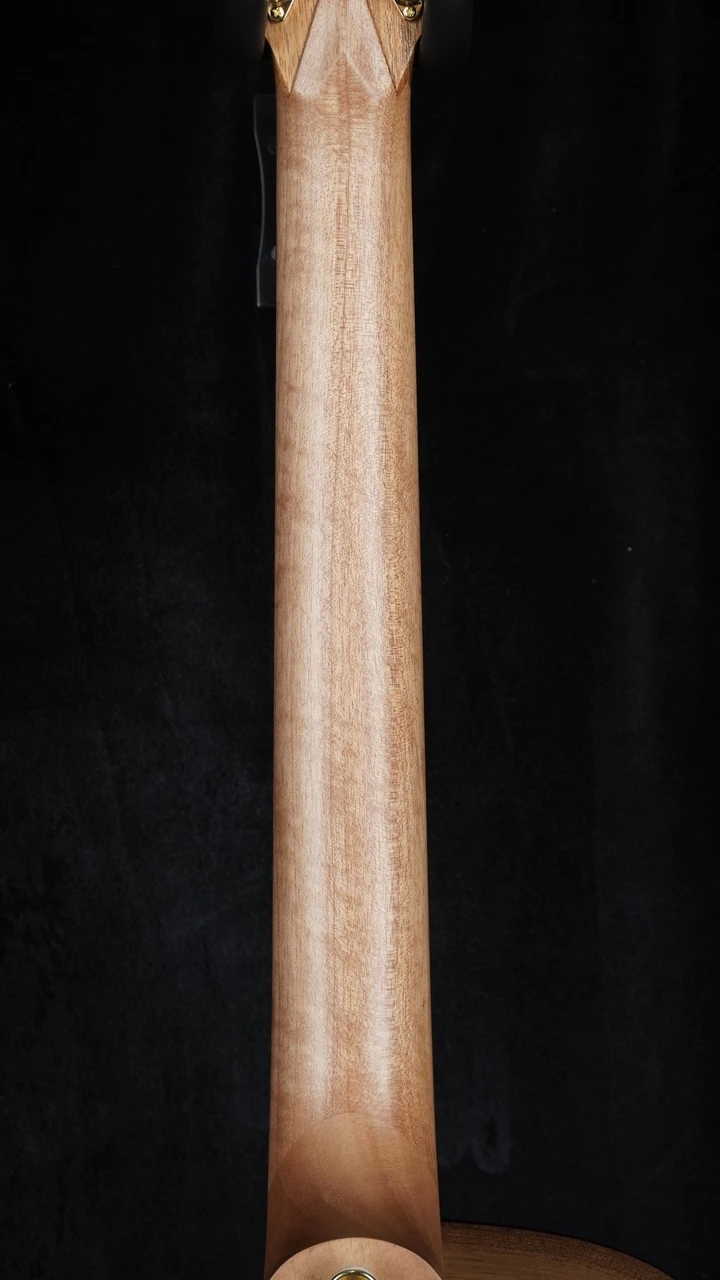 Cole Clark Angel 2EC - All Blackwood w/ Rosewood Fretboard Neck Back