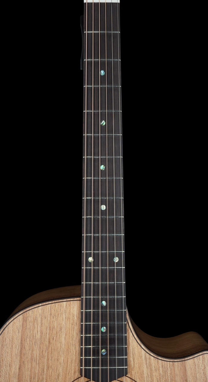 Cole Clark Angel 2EC - All Blackwood w/ Rosewood Fretboard