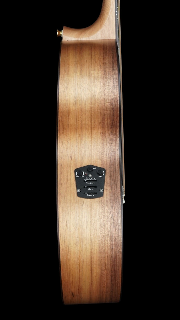 Cole Clark Angel 2EC - All Blackwood w/ Rosewood Fretboard