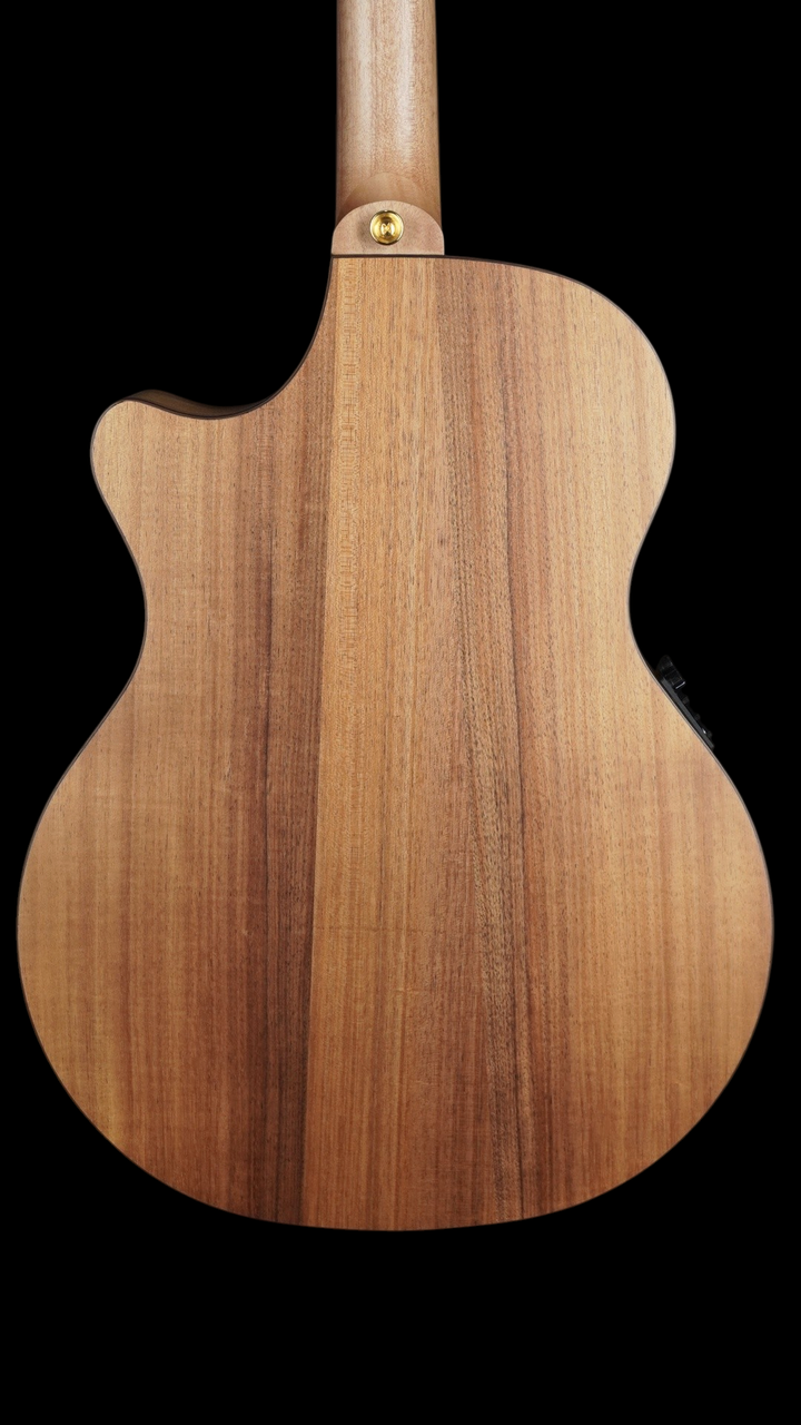 Cole Clark Angel 2EC - All Blackwood w/ Rosewood Fretboard