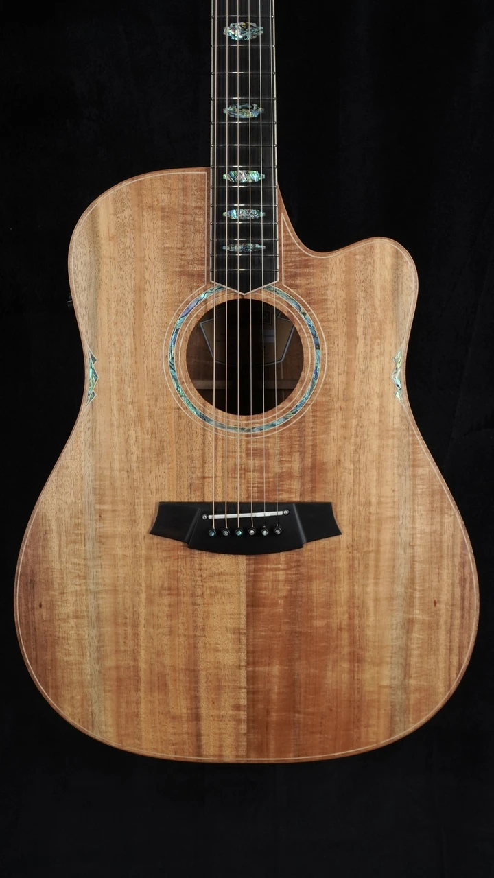 Cole Clark Fat Lady FL3EC - All Blackwood Front Close