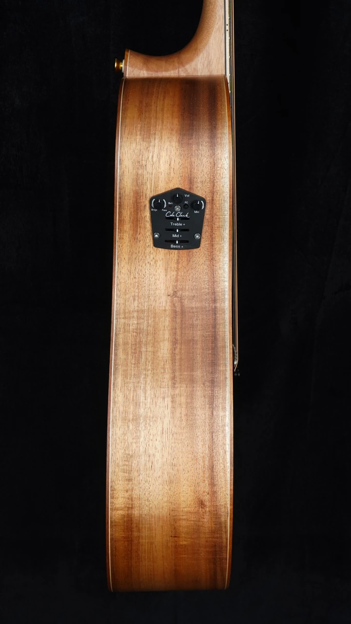Cole Clark Fat Lady FL3EC - All Blackwood Left Side