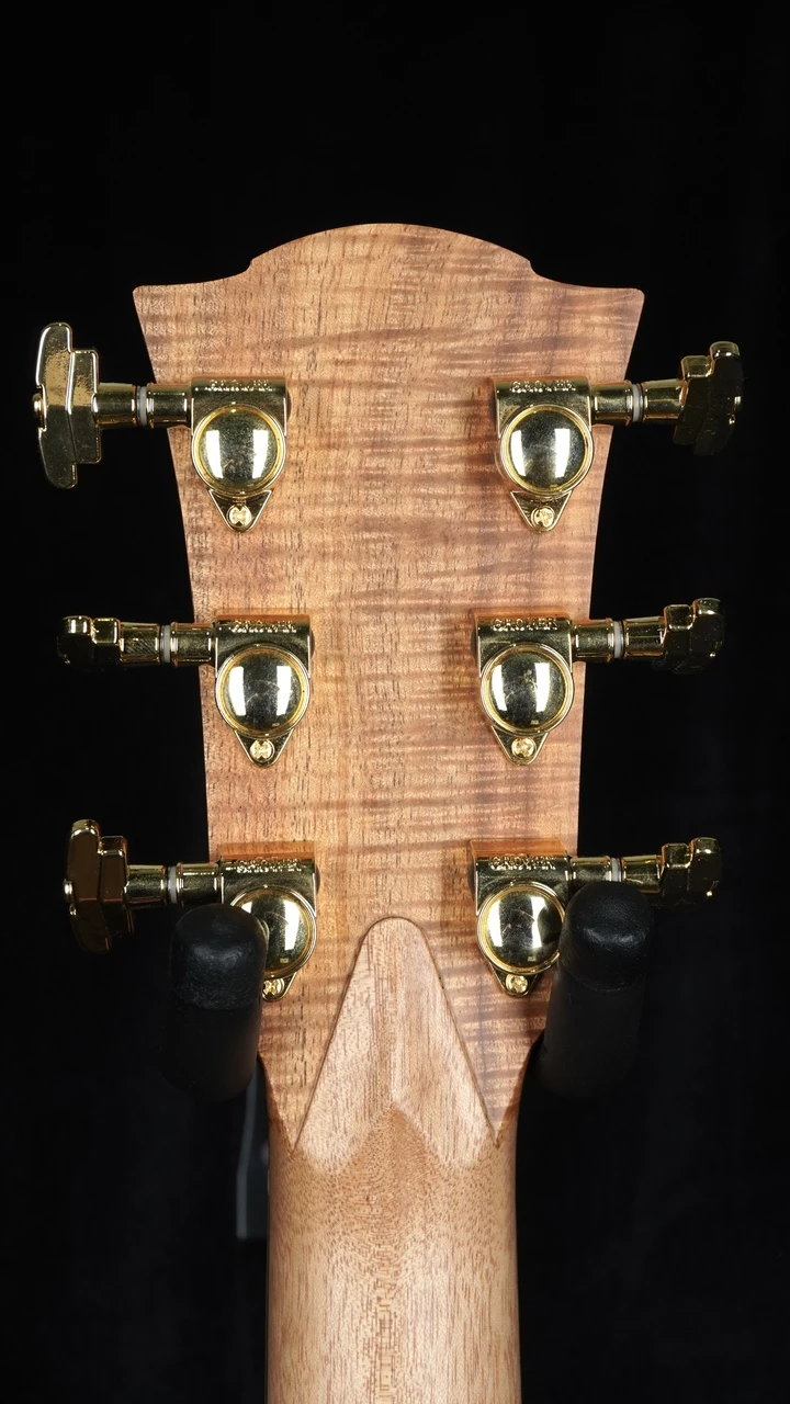 Cole Clark Fat Lady FL3EC - All Blackwood Headstock Back