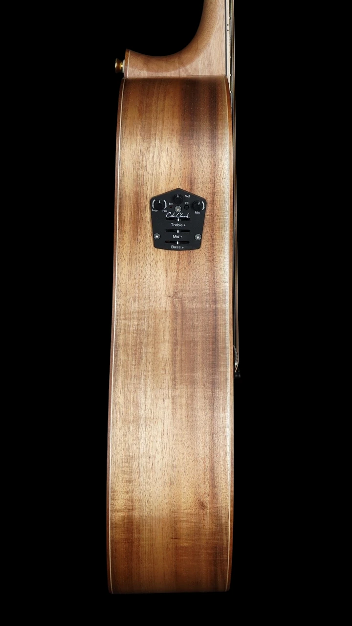 Cole Clark Fat Lady FL3EC - All Blackwood