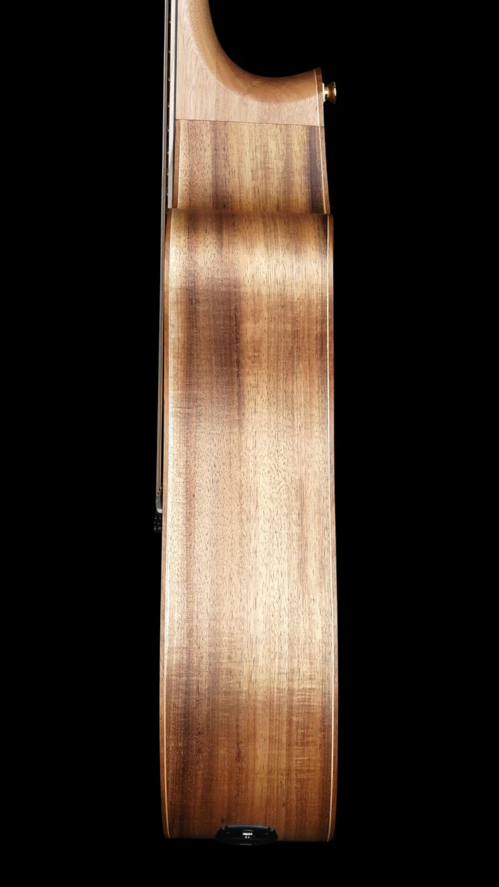 Cole Clark Fat Lady FL3EC - All Blackwood