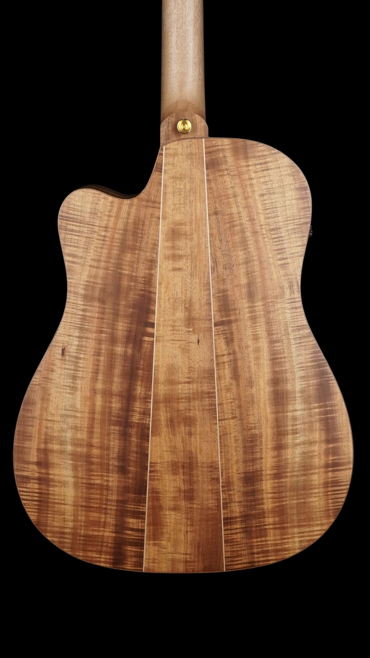 Cole Clark Fat Lady FL3EC - All Blackwood