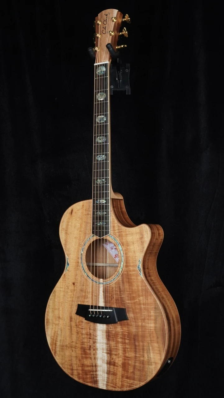 Cole Clark TL3EC Thinline Acoustic-Electric - All Blackwood Quarter Whole