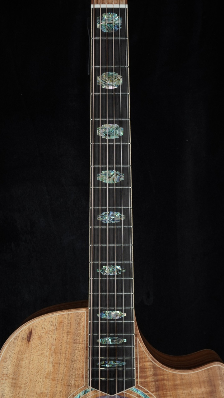 Cole Clark TL3EC Thinline Acoustic-Electric - All Blackwood Fingerboard
