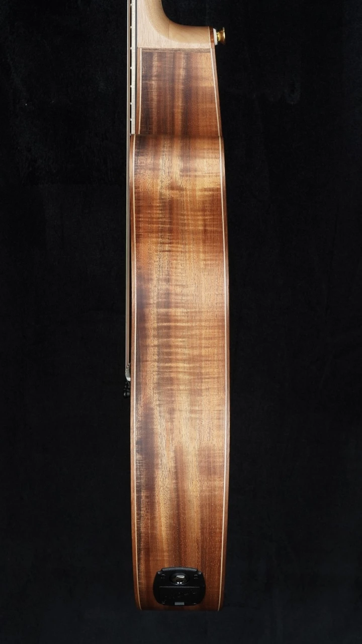 Cole Clark TL3EC Thinline Acoustic-Electric - All Blackwood Right Side