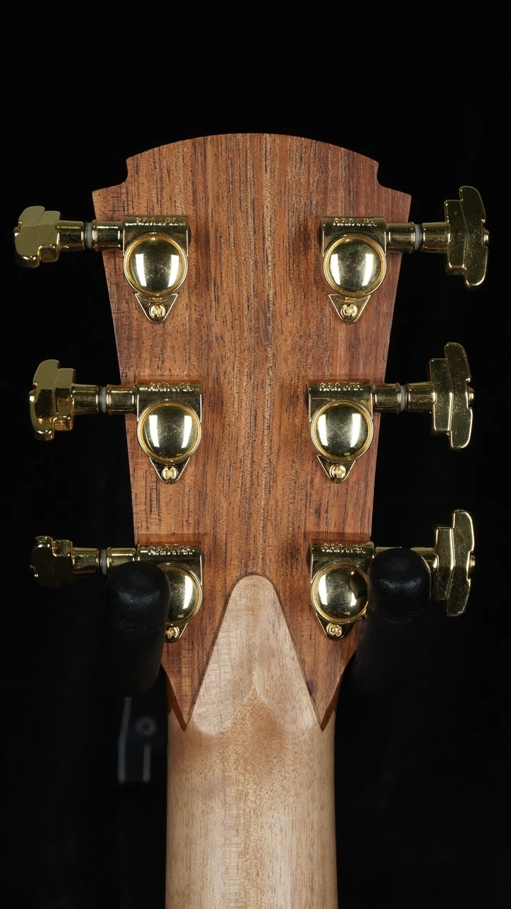 Cole Clark TL3EC Thinline Acoustic-Electric - All Blackwood Headstock Back