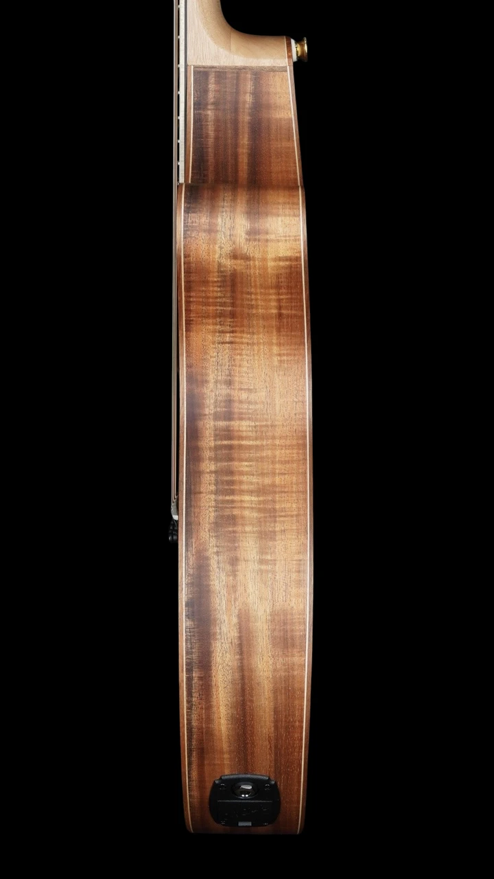 Cole Clark TL3EC Thinline Acoustic-Electric - All Blackwood