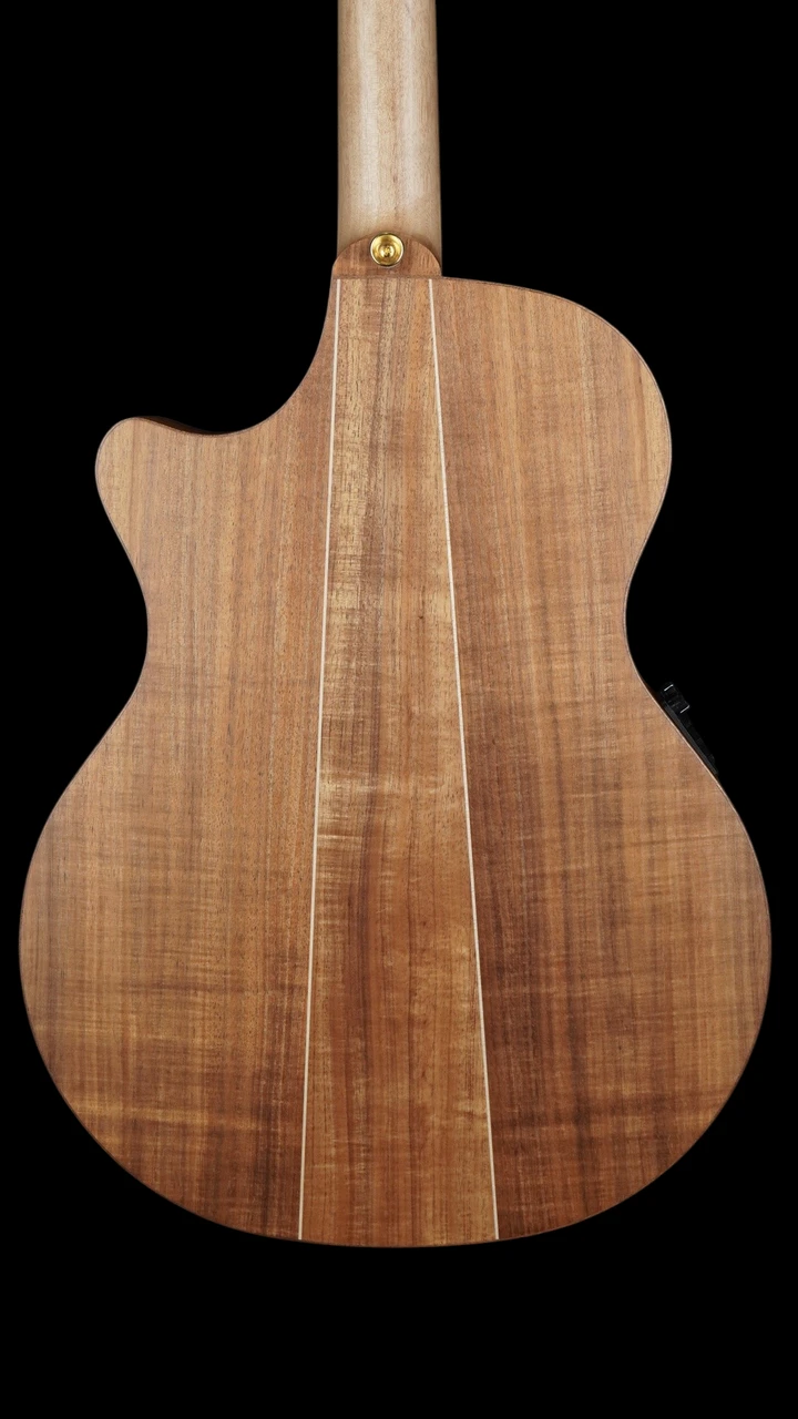 Cole Clark TL3EC Thinline Acoustic-Electric - All Blackwood