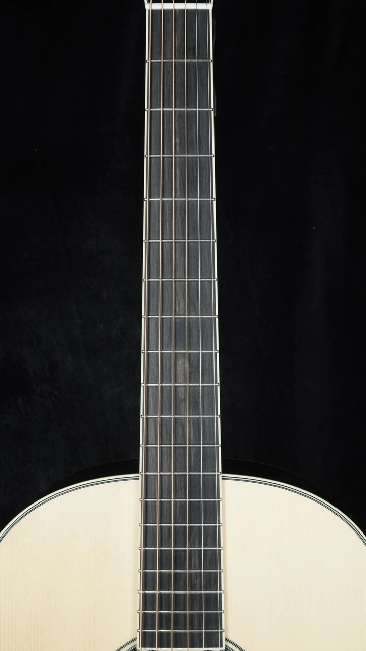 Collings DS3 Wenge A Custom - Adirondack Spruce Top Fretboard