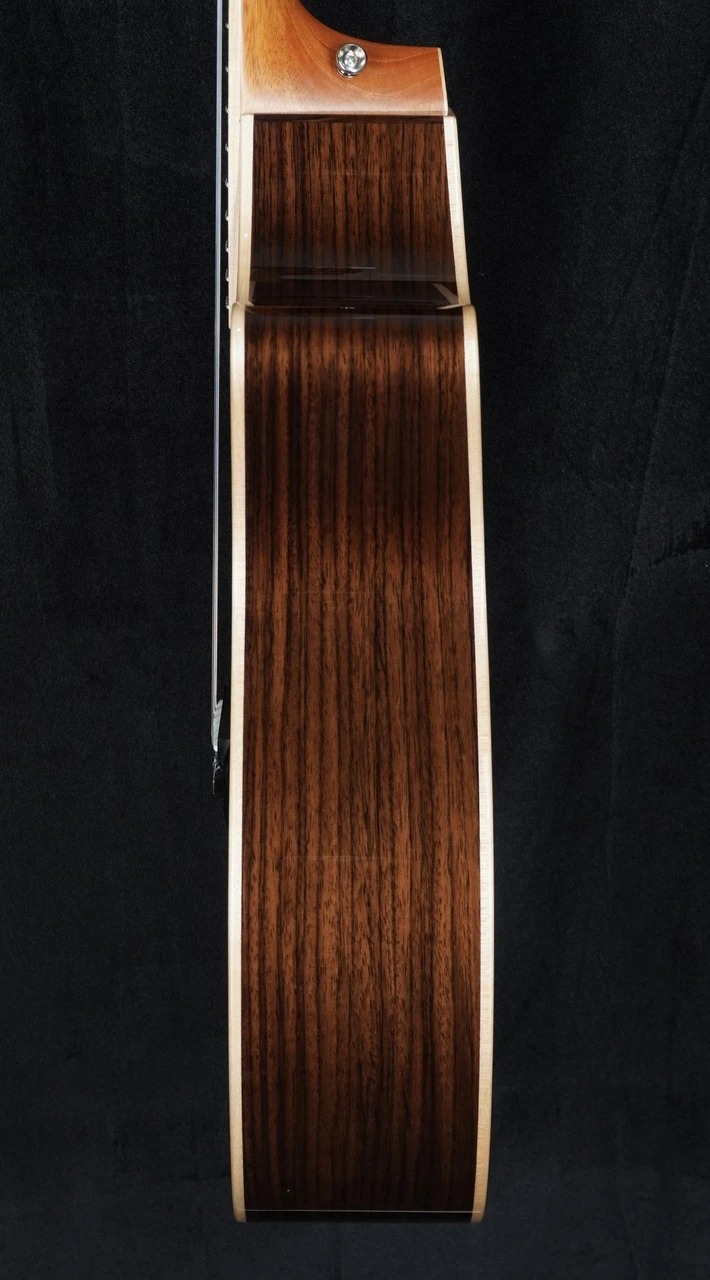 DEMO 2024 Taylor 814ce-N Nylon String Grand Auditorium
