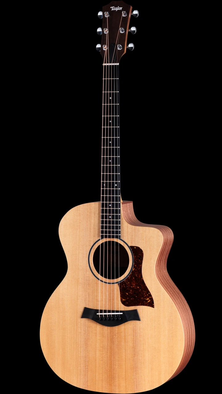 Taylor 14ce Grand Auditorium Acoustic-Electric - Natural - Front Angle