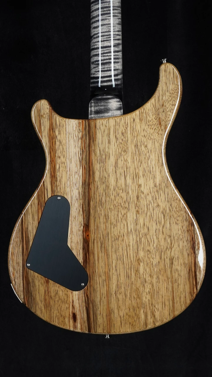 PRS Wood Library Custom 24 Stoptail Limited Edition - Charcoal - Back Close