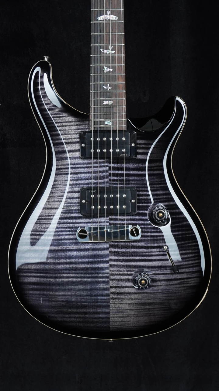 PRS Wood Library Custom 24 Stoptail Limited Edition - Purple Mist - Front Close