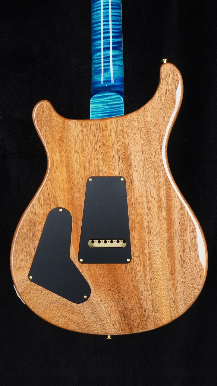 PRS Signature Dealer Exclusive McCarty Tremolo with 408 Switching - Arctic Blue - Back Close