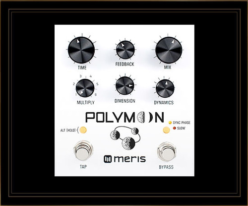 Meris Polymoon Modulated Delay Pedal