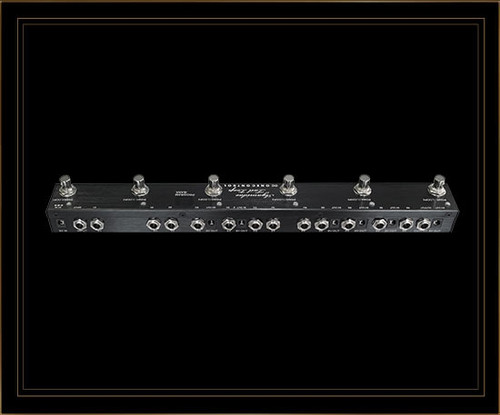 One Control Agamidae Tail Loop 6-Loop Programmable Switcher