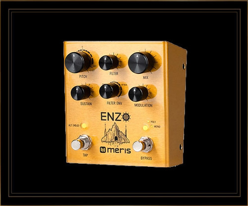 Meris Enzo Multi-Voice Instrument Synthesizer Pedal