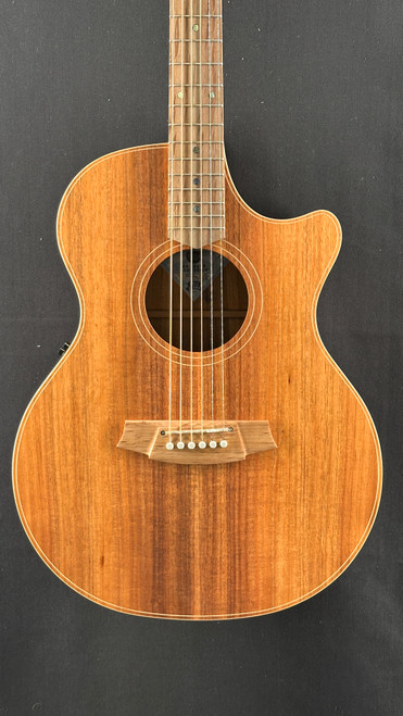 アコースティックギター　cole clark コールクラーク(Cole Clark)のエレアコのレビュー【特徴と音色