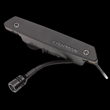 Fishman Rare Earth Mic Blend